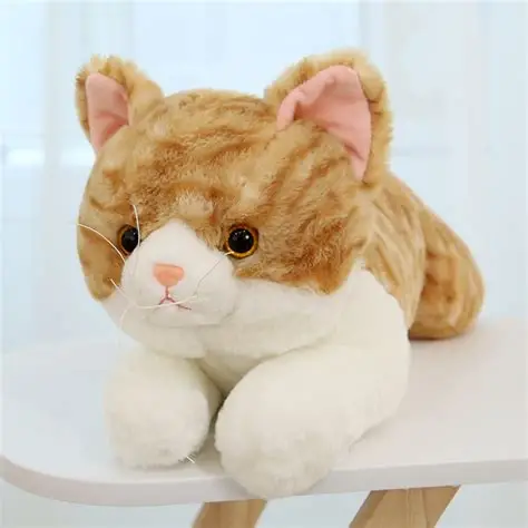 Cat 2
